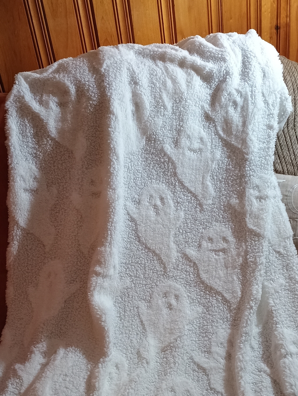 NWT Rachel Zoe Halloween White 3D Textured Ghost Plush Throw Blanket Viral